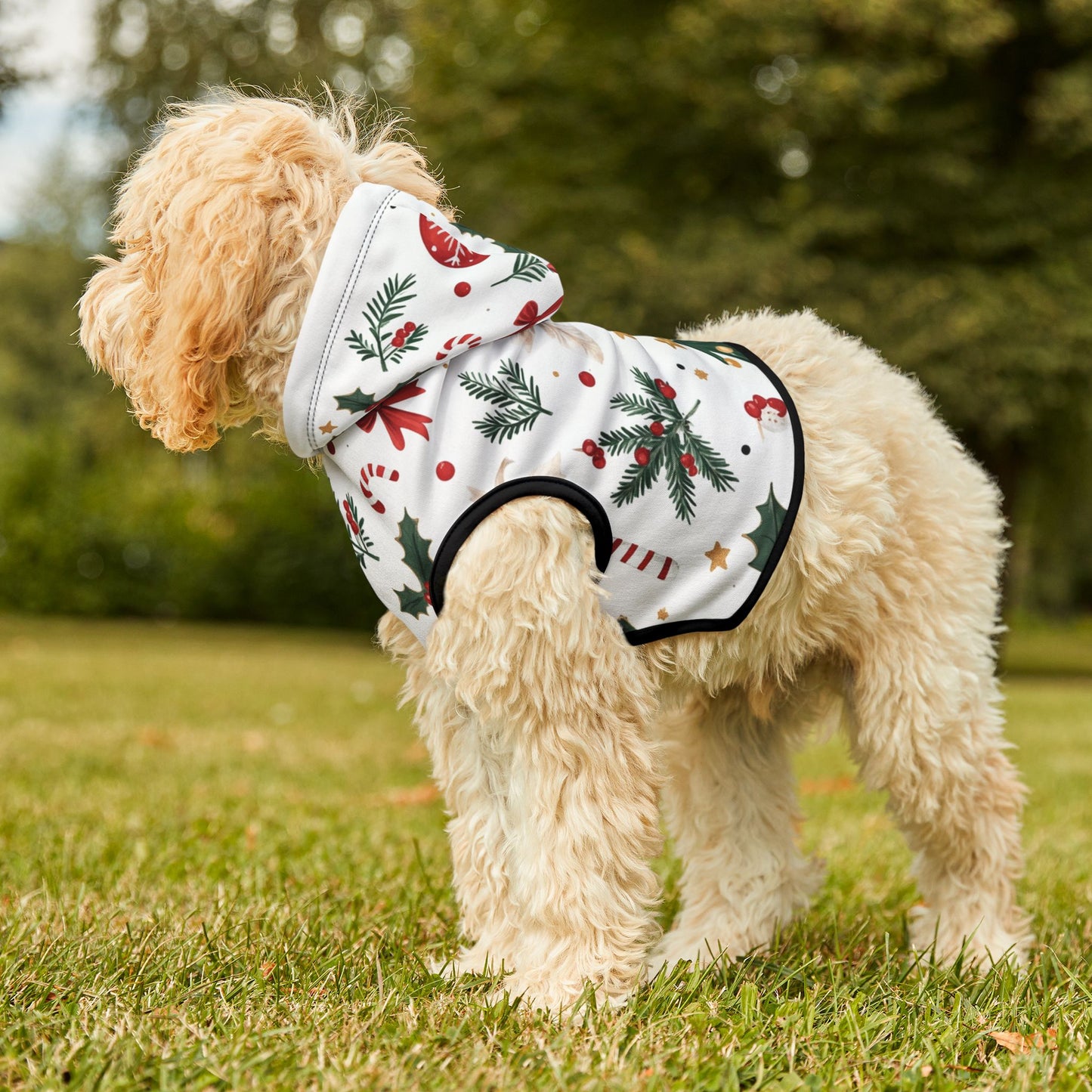 Christmas Pet Hoodie with Festive Patterns