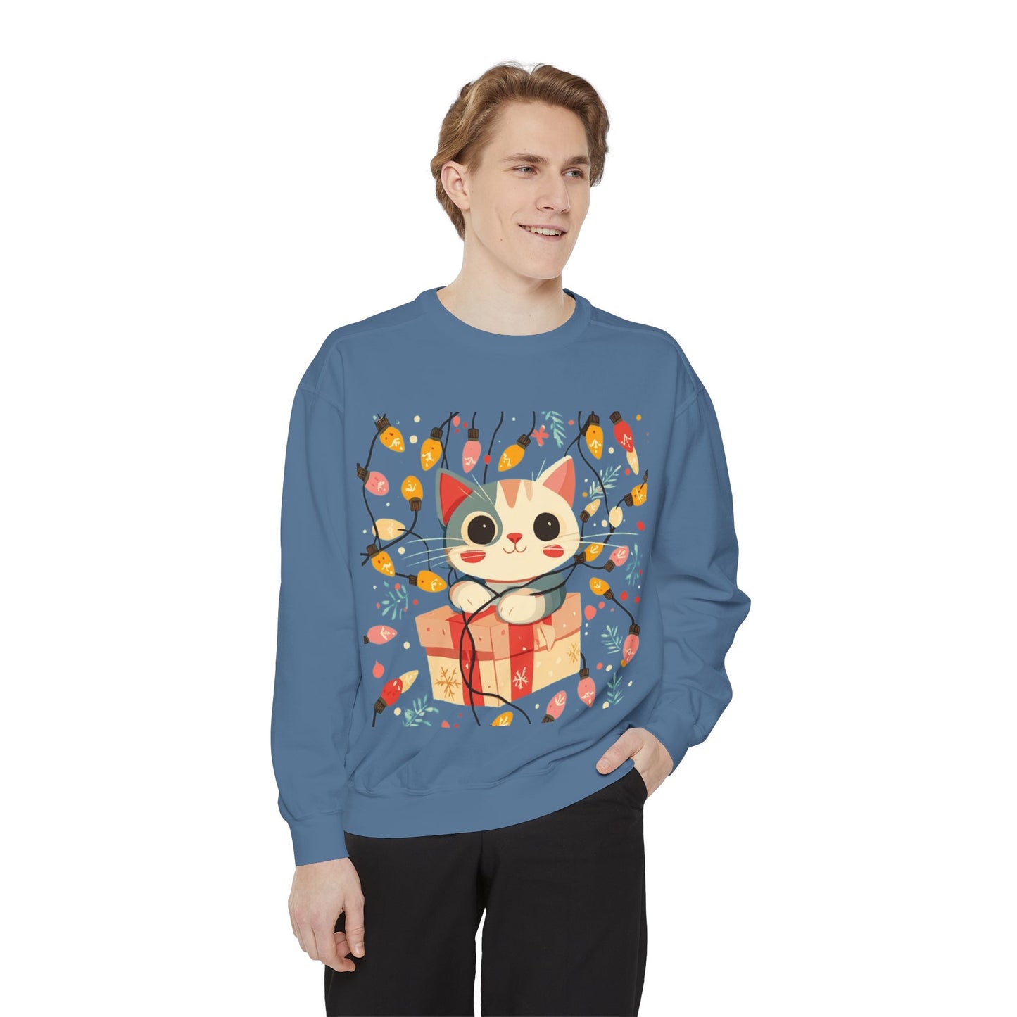 Cute Cat Gift Box Sweatshirt