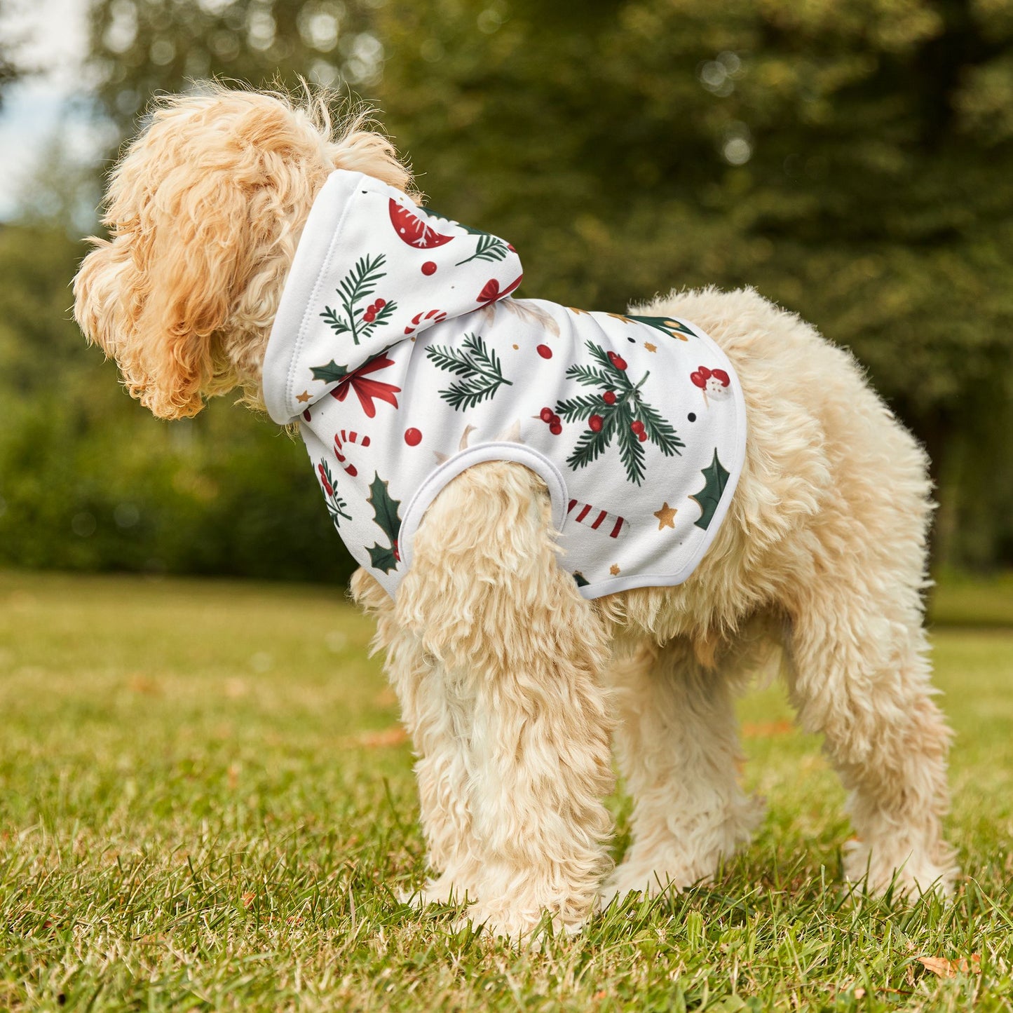 Christmas Pet Hoodie with Festive Patterns